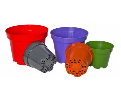 Propots